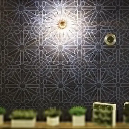 Hotel Torreluz Centro 3*