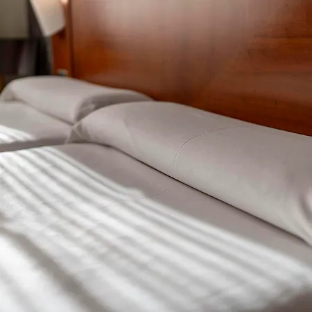 Hotel Torreluz Centro 3*